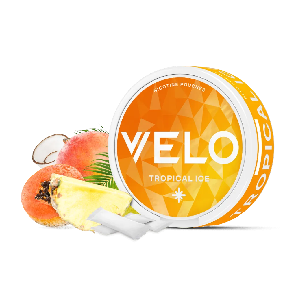 Velo Nicotine Pouches (Pack of 10) - 10mg (4 Dot)