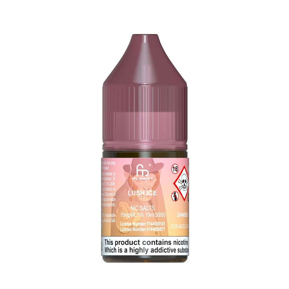 RandM 10ml Nicsalt Eliquid Wholesale
